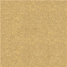 J03500